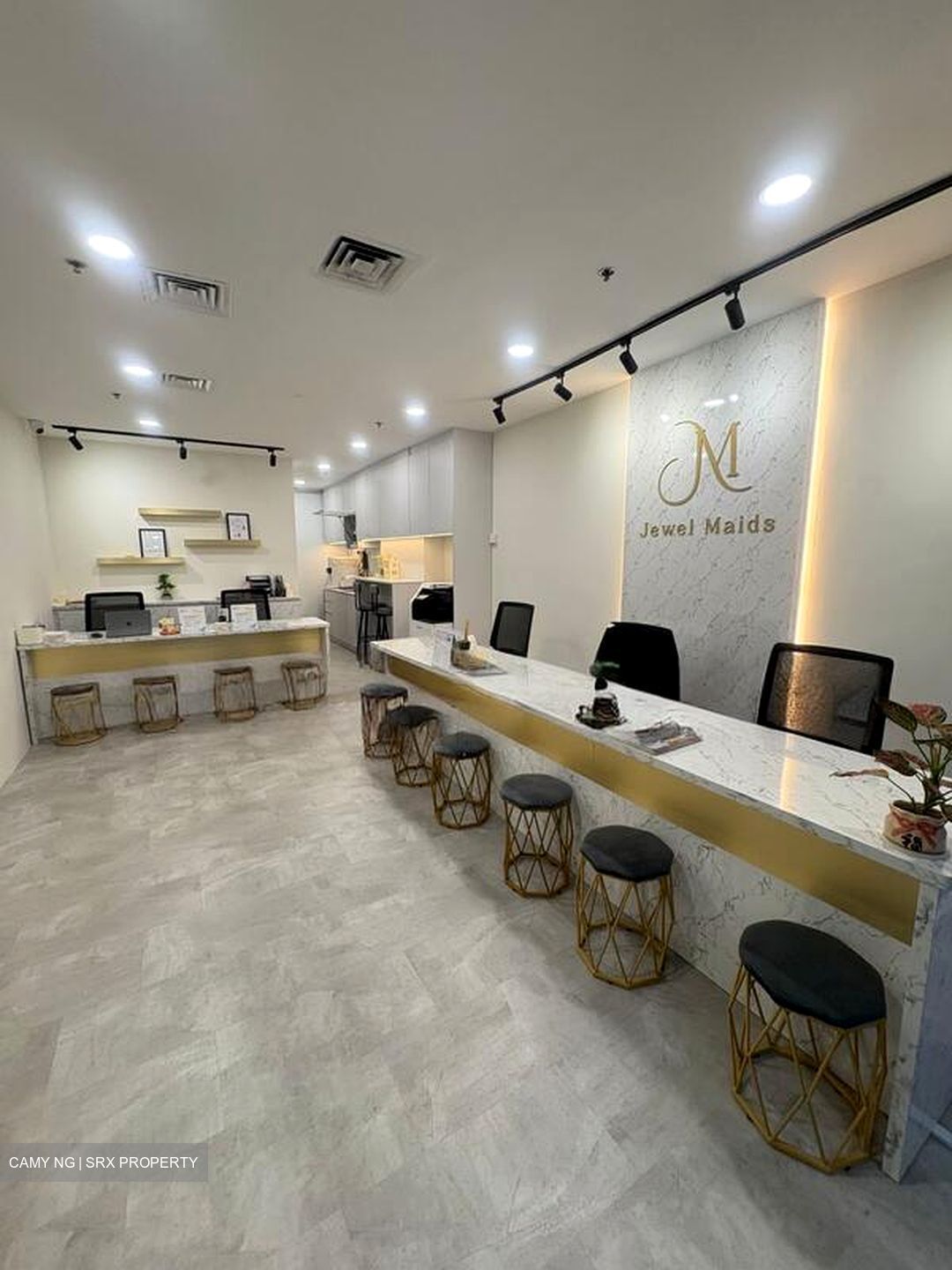 Bukit Timah Shopping Centre (D21), Shop House #519691441